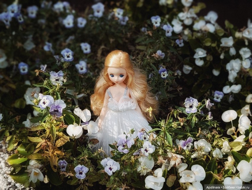Цветочная бломмор — Азиатские виниловые куклы (разное): Китай (фото 5)