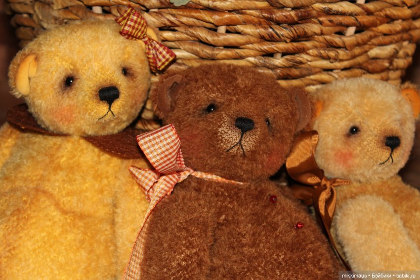 Мишки Тедди - Печеньки — Авторские мишки Тедди и друзья: фото (фото 3)