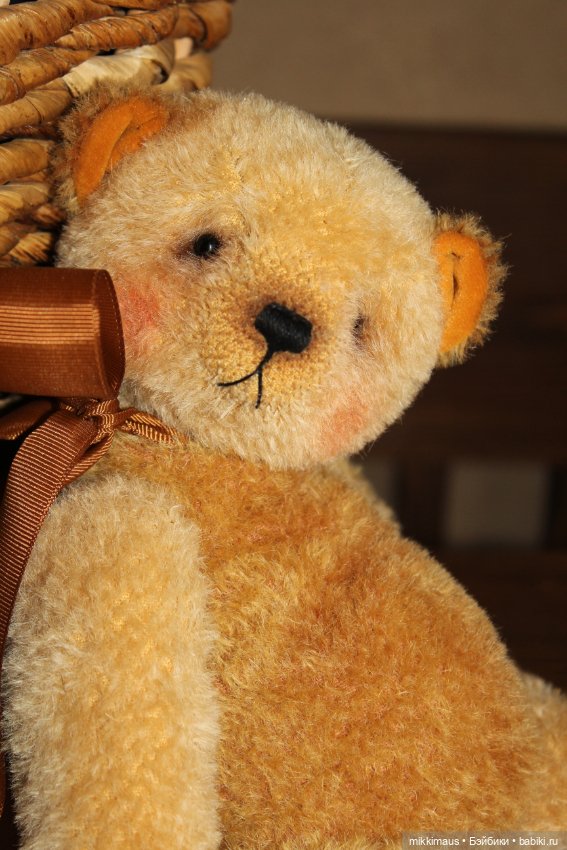 Мишки Тедди - Печеньки — Авторские мишки Тедди и друзья: фото