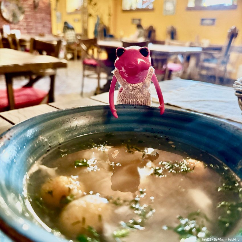 Биби. Питер. Август 2024 — Туризм и путешествия: фотоотчеты из поездок (фото 7)