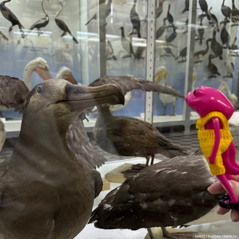 Биби. Питер. Август 2024 — Туризм и путешествия: фотоотчеты из поездок (фото 6)