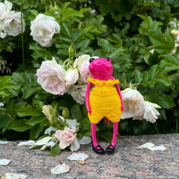 Биби. Питер. Август 2024 — Туризм и путешествия: фотоотчеты из поездок