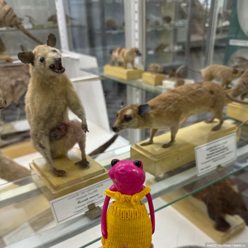 Биби. Питер. Август 2024 — Туризм и путешествия: фотоотчеты из поездок (фото 5)