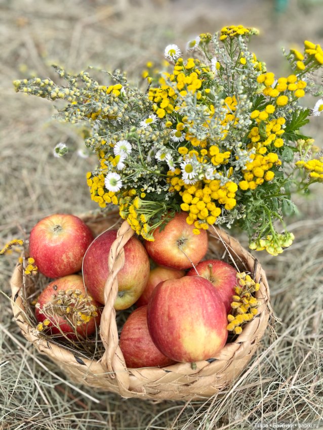 Яблочное настроение с Luxixi (фото 4)