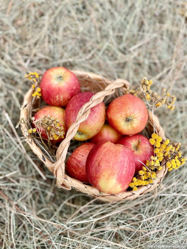 Яблочное настроение с Luxixi (фото 3)