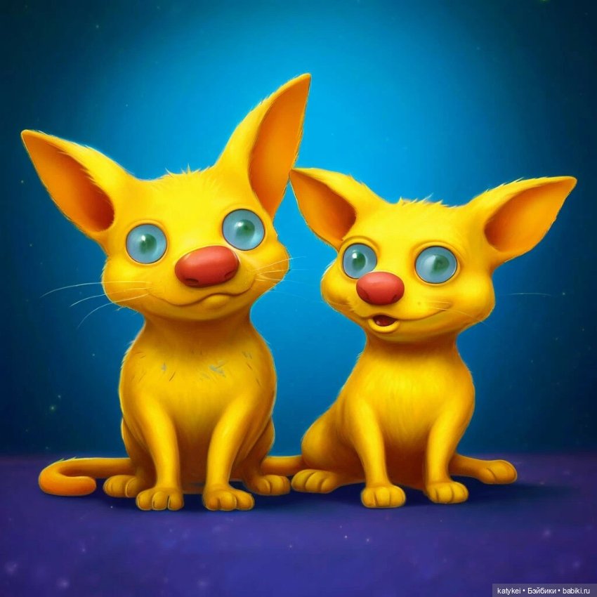 День котиков 2024 (часть 1)