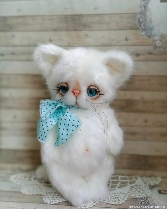 Всемирный день кошек — В мире животных: смешные фото питомцев и зверей (фото 9)