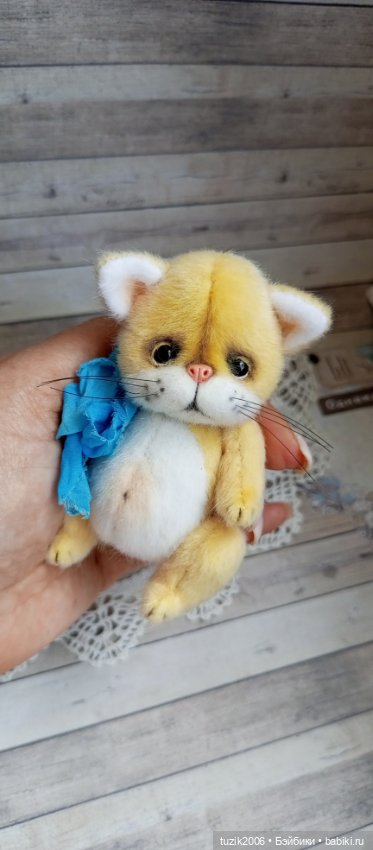 Всемирный день кошек — В мире животных: смешные фото питомцев и зверей