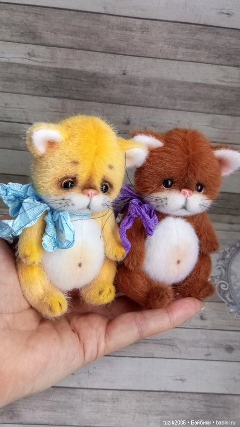 Всемирный день кошек — В мире животных: смешные фото питомцев и зверей (фото 2)