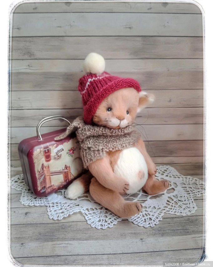 Всемирный день кошек — В мире животных: смешные фото питомцев и зверей