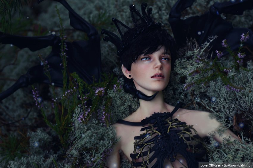 Грибничок — Фотоистории с куклами BJD (БЖД): сериалы