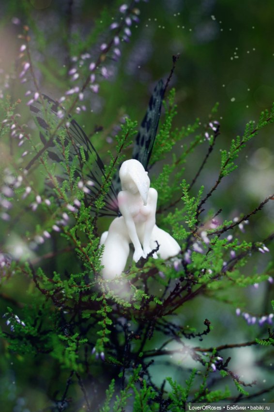 Грибничок — Фотоистории с куклами BJD (БЖД): сериалы (фото 7)