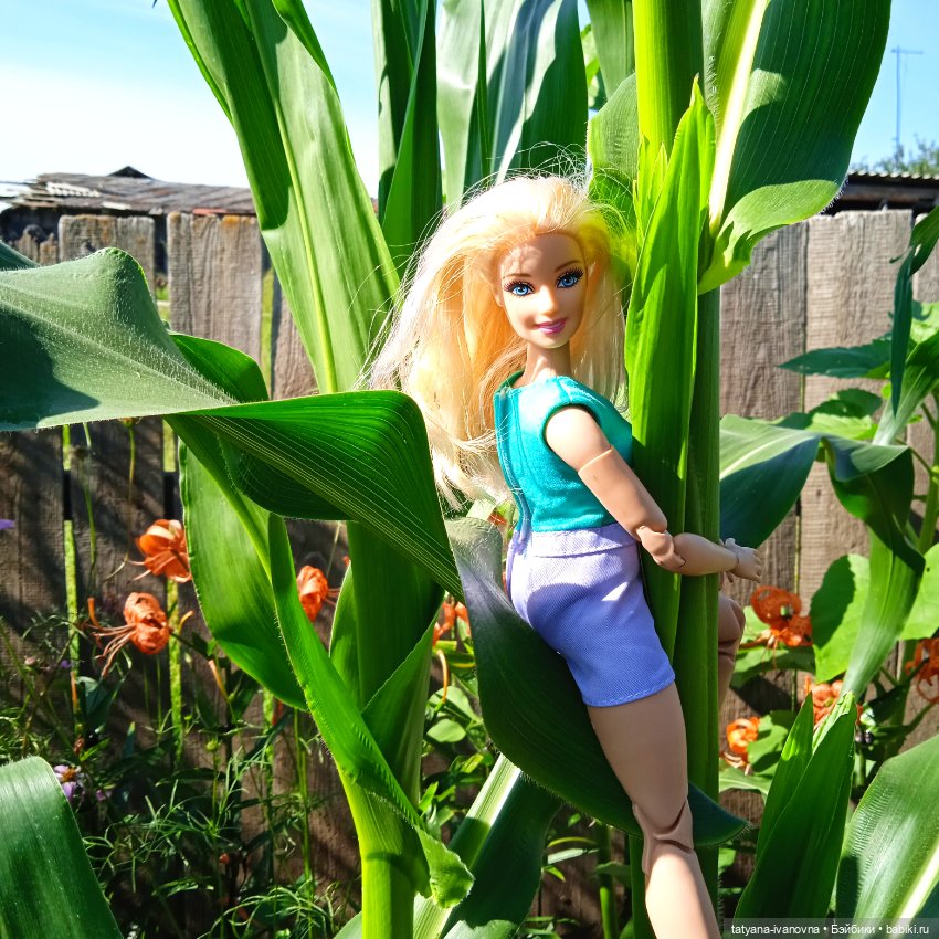 Кружилась над садом прекрасная Фея (фото 2)