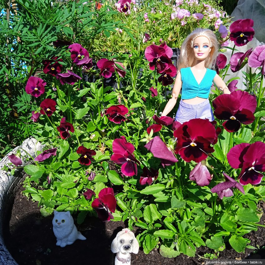 Кружилась над садом прекрасная Фея (фото 3)