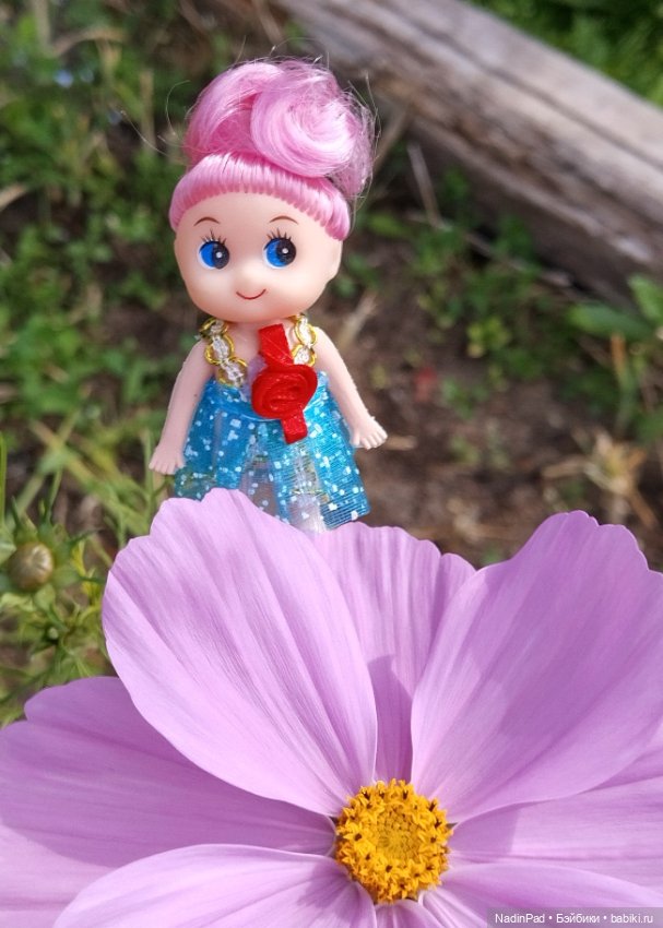 Утренние цветы — Игровые куклы разных производителей (Разное): редкие бренды (фото 8)