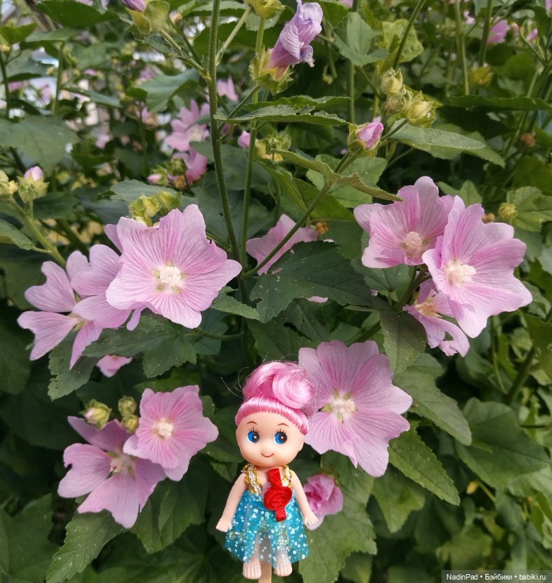 Утренние цветы — Игровые куклы разных производителей (Разное): редкие бренды (фото 3)