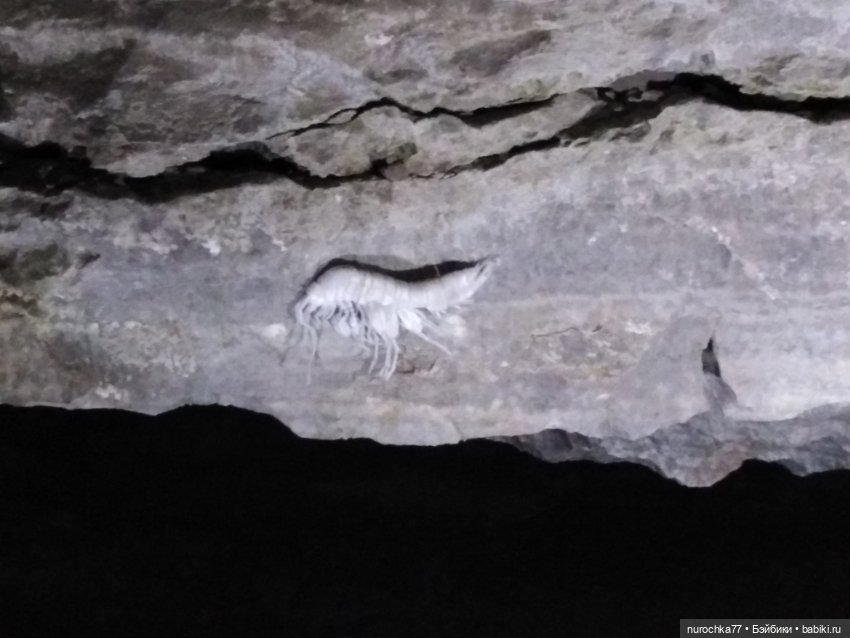 Про Нафочку. В Кунгуре — Туризм и путешествия: фотоотчеты из поездок