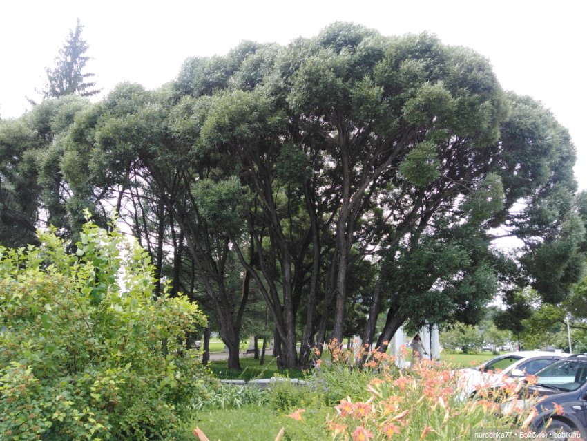 Про Нафочку. В Кунгуре — Туризм и путешествия: фотоотчеты из поездок (фото 9)