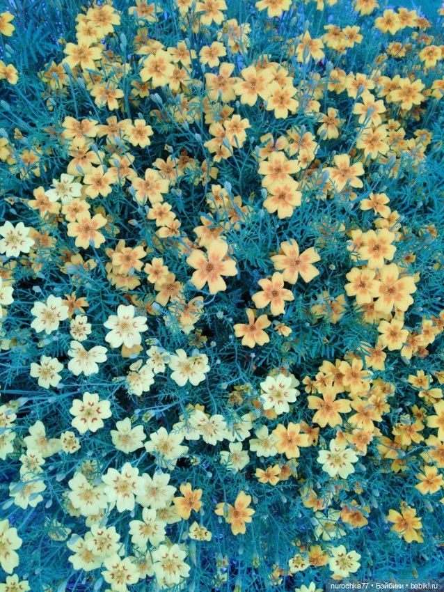 Про Нафочку. В Кунгуре — Туризм и путешествия: фотоотчеты из поездок (фото 10)