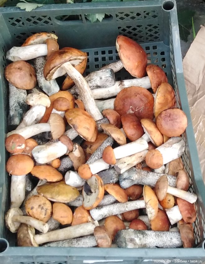 Про Нафочку. В Кунгуре — Туризм и путешествия: фотоотчеты из поездок (фото 6)