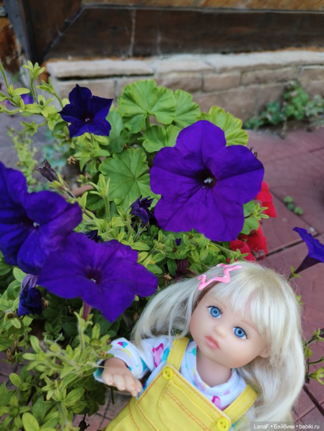 Виола - фея цветов! ( Габриэль Мюллер 23 см Gabriele Muller) (фото 10)