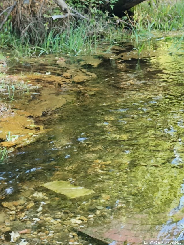 Ну где же лягушка?? 🐸....(Мини Адора mini Adora) (фото 4)