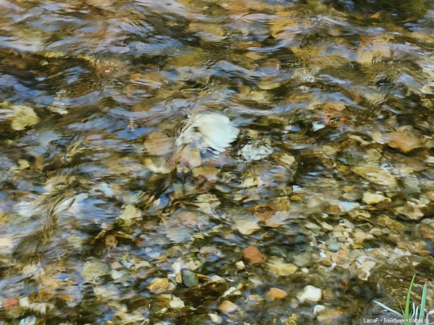 Ну где же лягушка?? 🐸....(Мини Адора mini Adora) (фото 5)