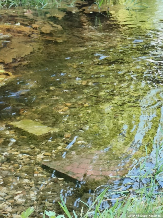 Ну где же лягушка?? 🐸....(Мини Адора mini Adora) (фото 3)