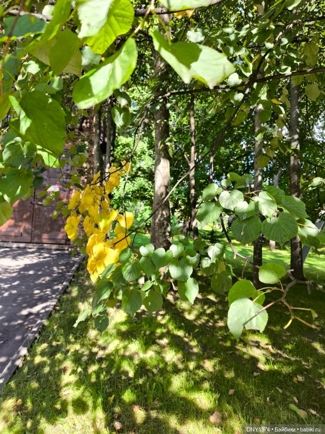 Моя ягодка — Куклы Strawberry Planet: Redberry (фото 6)