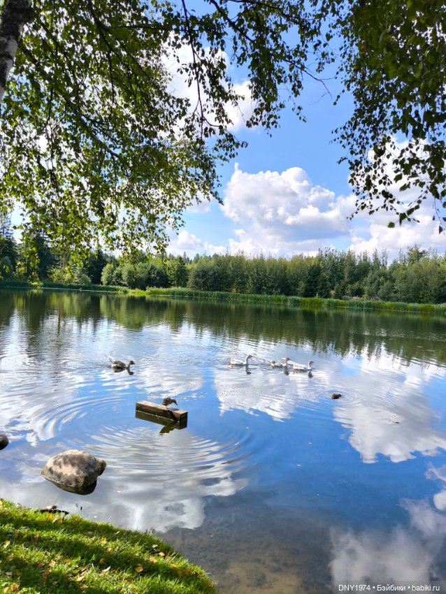 Моя ягодка — Куклы Strawberry Planet: Redberry