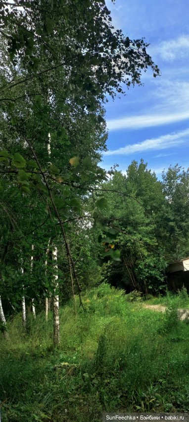 Камило. Близость к природе ☘️ (фото 7)