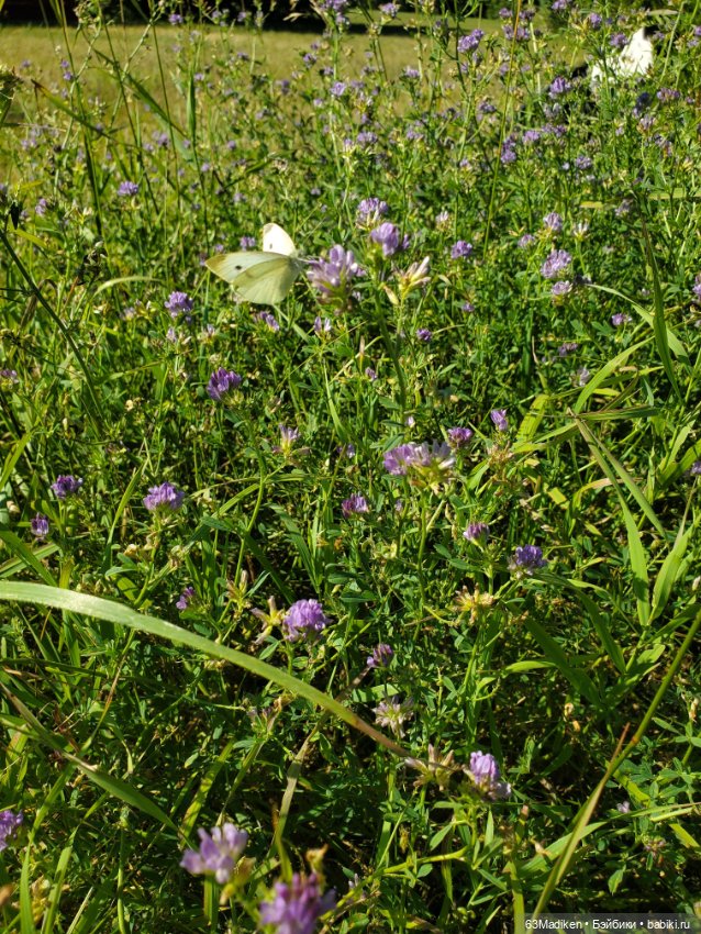 Шляпки — Игровые куклы разных производителей (Разное): редкие бренды