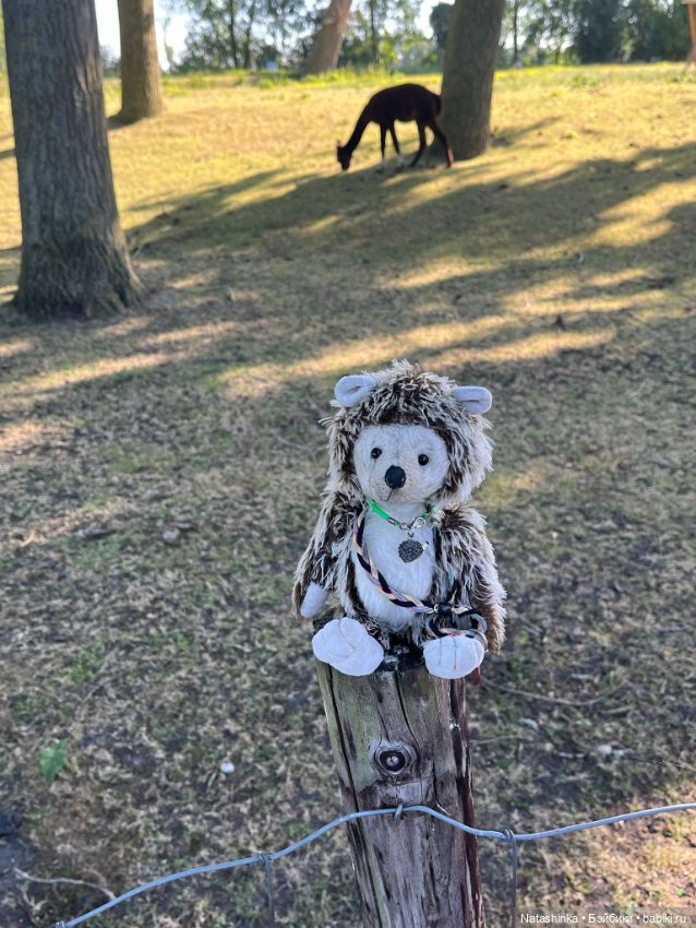 Немузыкальная История 2 — Туризм и путешествия: фотоотчеты из поездок