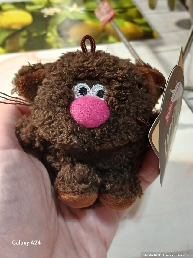 Новый член семьи - КофИ! Кофейный котик Буди Баса (фото 4)