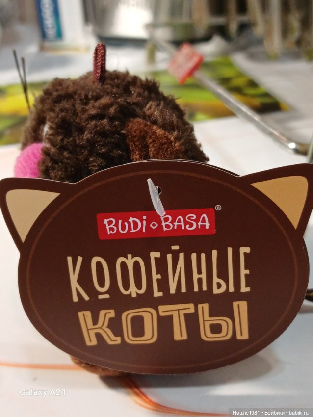 Новый член семьи - КофИ! Кофейный котик Буди Баса (фото 2)