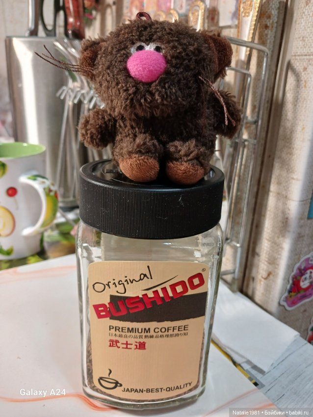 Новый член семьи - КофИ! Кофейный котик Буди Баса (фото 7)