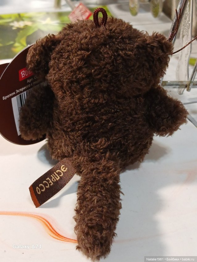 Новый член семьи - КофИ! Кофейный котик Буди Баса (фото 3)