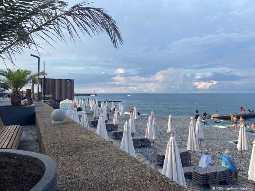 Утро Кэрри 🌴 — Куклы Barbie (Барби): Looks