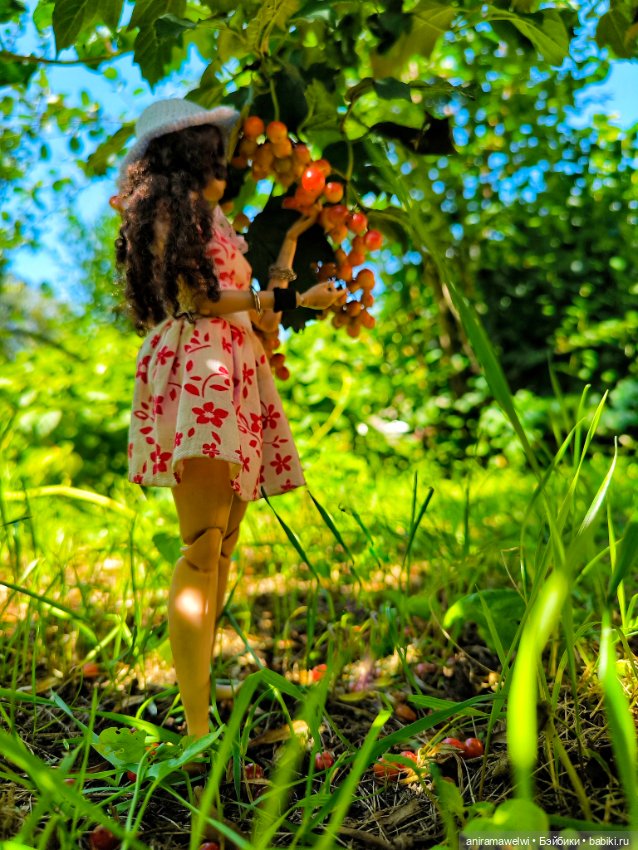 Громовы. Летнее настроение (фото 4)