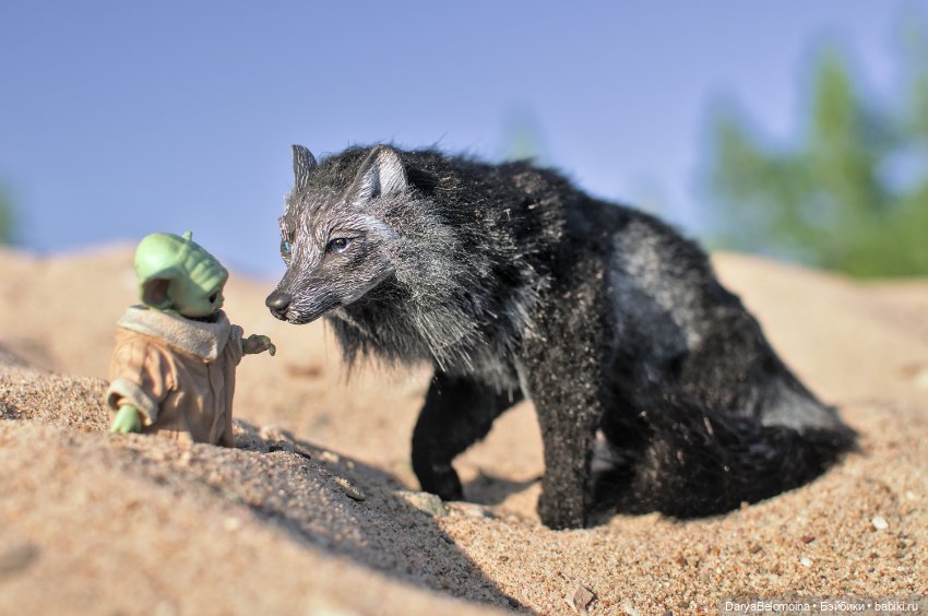 Грогу и волк — Коллекционные экшн (фото 2)