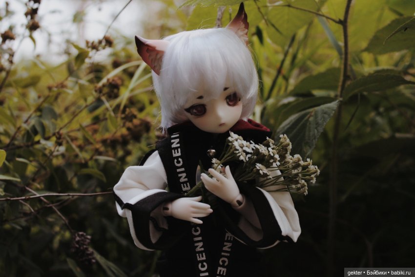 Тим и уходящее лето 🌾🌄🌾 — Куклы Dollzone (Доллзон): BJD (БЖД)
