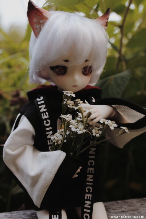 Тим и уходящее лето 🌾🌄🌾 — Куклы Dollzone (Доллзон): BJD (БЖД) (фото 5)