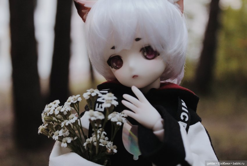 Тим и уходящее лето 🌾🌄🌾 — Куклы Dollzone (Доллзон): BJD (БЖД)