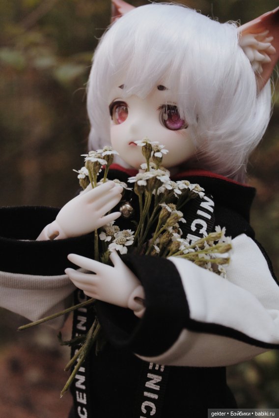 Тим и уходящее лето 🌾🌄🌾 — Куклы Dollzone (Доллзон): BJD (БЖД)