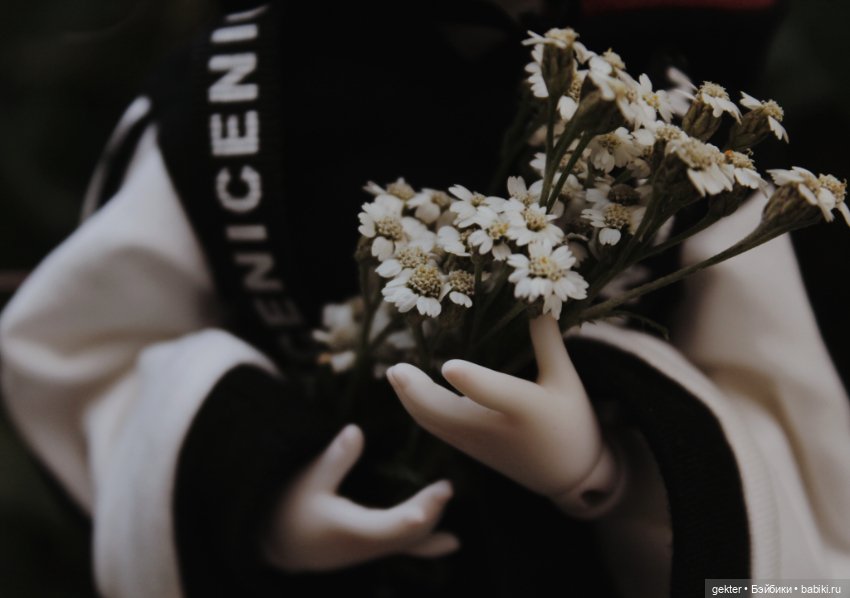 Тим и уходящее лето 🌾🌄🌾 — Куклы Dollzone (Доллзон): BJD (БЖД) (фото 8)