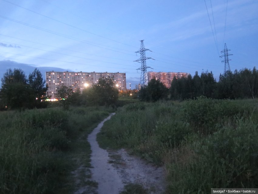 Соня "Алмазик" от Весна и многотравное лето (фото 8)