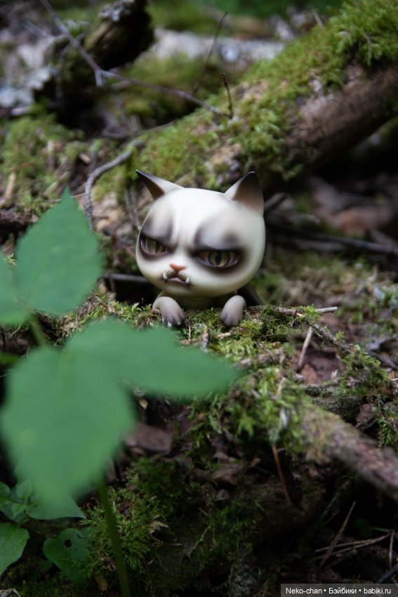 Мох и котики — Куклы Dollshe Craft (Доллше): BJD (БЖД)