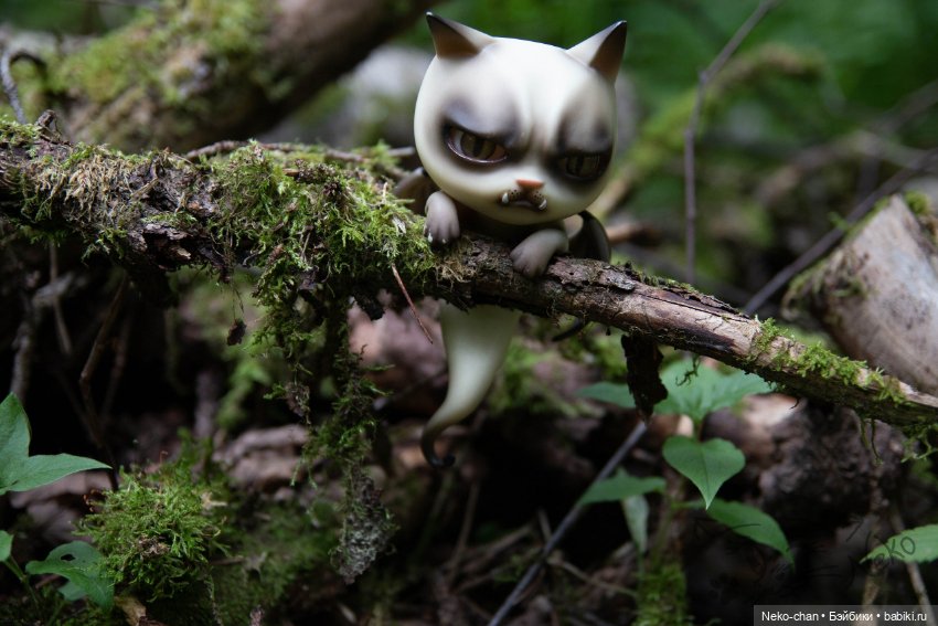 Мох и котики — Куклы Dollshe Craft (Доллше): BJD (БЖД) (фото 3)