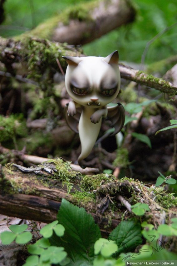 Мох и котики — Куклы Dollshe Craft (Доллше): BJD (БЖД) (фото 5)