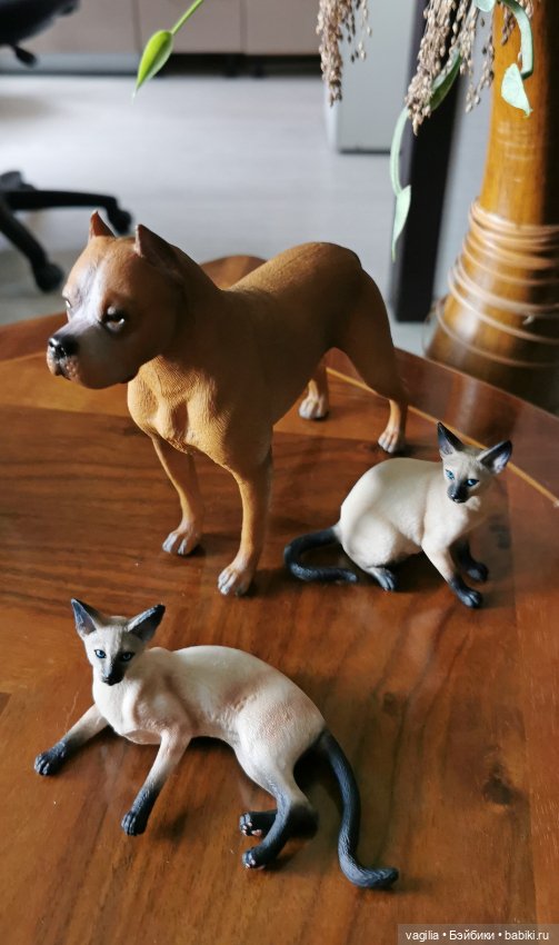 Сиамские кошки для Барби — В мире животных: смешные фото питомцев и зверей (фото 8)